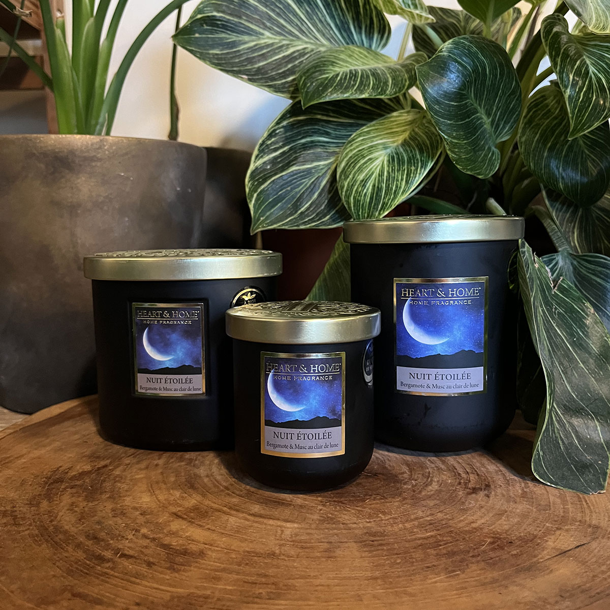 2 Wick Ellipse Candle Heart and Home - Starry Night