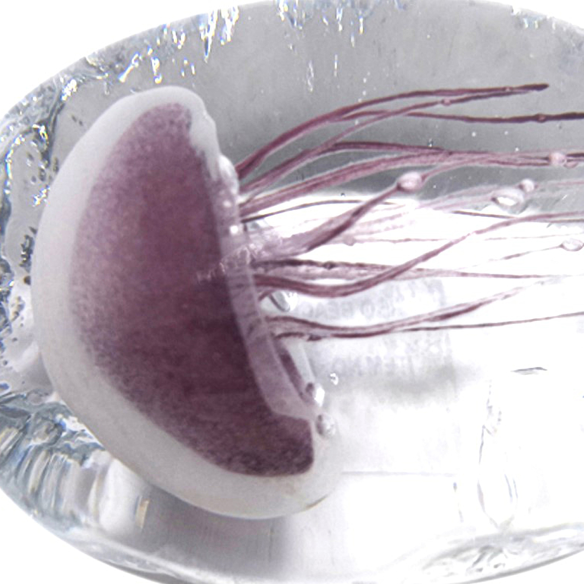 Jellyfish glass paperweight 11 cm - Transparent