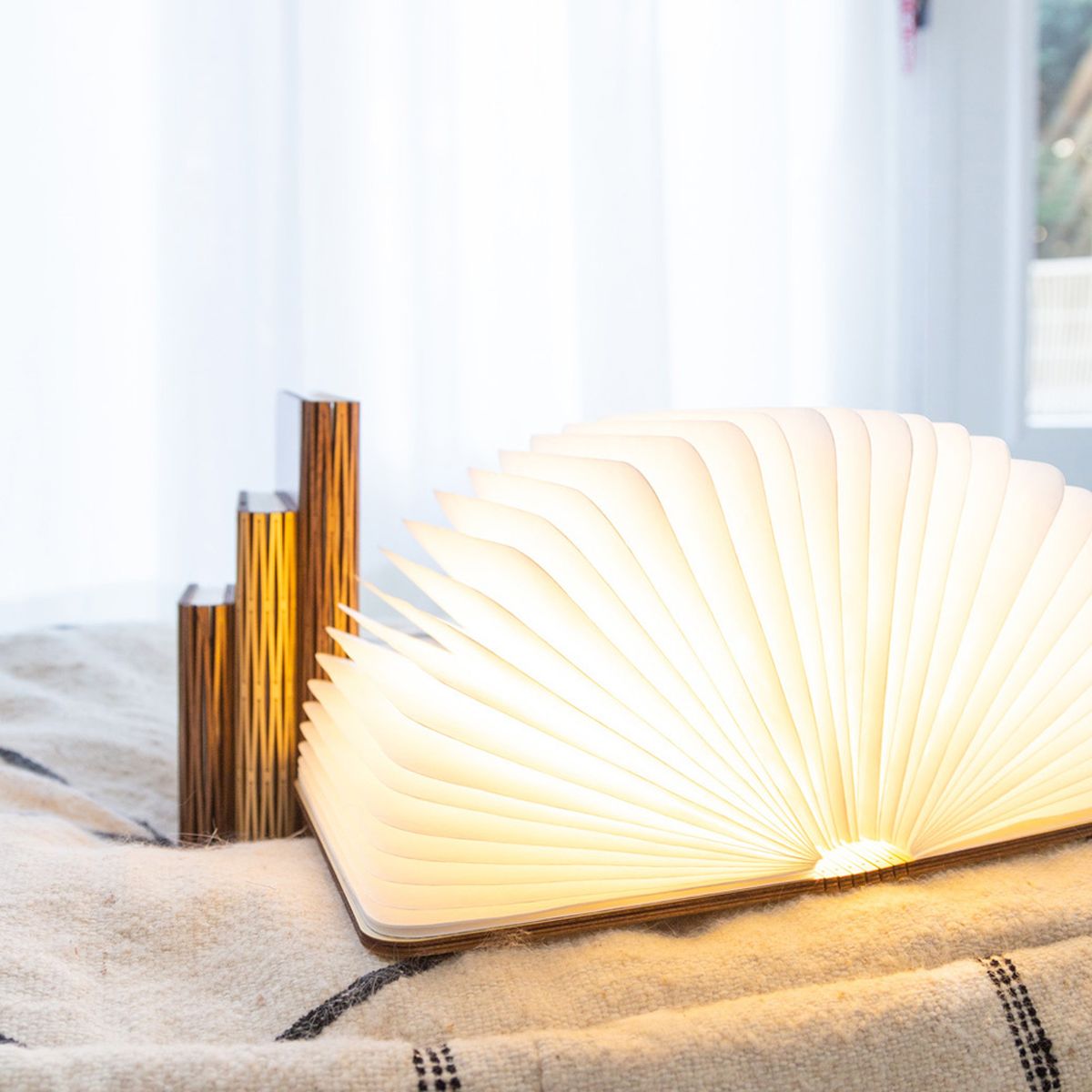 Book lamp in real wood - Maple - Size L