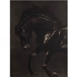 Wall decoration Horse Black and White 50 x 40 cm