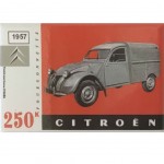 Magnet Citron - 7.9 x 5.4 cm