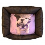 To Jasmin Bed for Small Dog or Cat