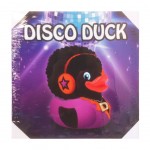 Disco Duck Frame canvas