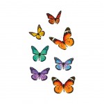 Window stickers butterflies