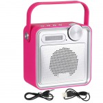 Transportable and rechargeable radio