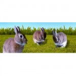 Bookmark Lenticular Rabbit