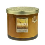 2 Wick Ellipse Candle Heart and Home - Morning Sunrise