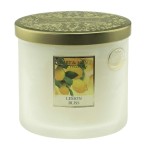 2 Wick Ellipse Candle Heart and Home - Lemon Bliss