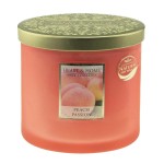 2 Wick Ellipse Candle Heart and Home - Peach Passion