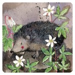 Mr Prickly Hedgehog Coaster by Alex Clark