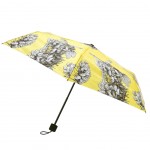 Gorse Umbrella - Flower Fairies
