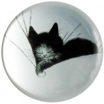 Cats by Dubout Paperweight - GROS DODO